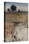 Destination Winter Fields-Tim O'toole-Stretched Canvas