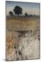 Destination Winter Fields-Tim O'toole-Mounted Giclee Print