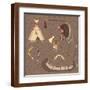 Brown Frame