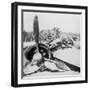 Destroyed Aircraft-null-Framed Premium Photographic Print