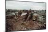 Destroyed Buildings Overflow Alleys-null-Mounted Photographic Print