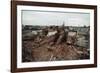 Destroyed Buildings Overflow Alleys-null-Framed Photographic Print