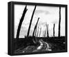 Destruction in Belgium (Road, 1918) Poster-null-Framed Poster