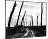 Destruction in Belgium (Road, 1918) Poster-null-Mounted Poster