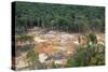 Destruction of Rainforest Caused by Gold Mining, Guyana, South America-Mick Baines & Maren Reichelt-Stretched Canvas