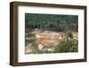 Destruction of Rainforest Caused by Gold Mining, Guyana, South America-Mick Baines & Maren Reichelt-Framed Photographic Print