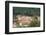 Destruction of Rainforest Caused by Gold Mining, Guyana, South America-Mick Baines & Maren Reichelt-Framed Photographic Print