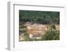 Destruction of Rainforest Caused by Gold Mining, Guyana, South America-Mick Baines & Maren Reichelt-Framed Photographic Print