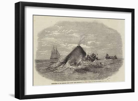 Destruction of the Larboard Boat of the Ann Alexander, by a Sperm Whale, in the South Pacific-null-Framed Giclee Print
