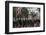 Detachment of Mounted Guard in the Mall En Route to Trooping of the Colour-James Emmerson-Framed Photographic Print