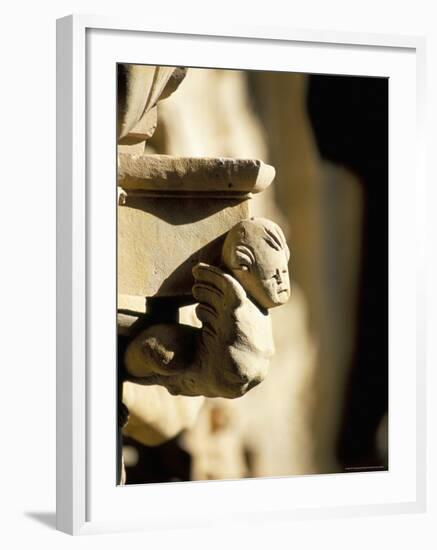 Detail, Convento De Las Duenas, Salamanca, Spain-R H Productions-Framed Photographic Print