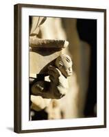 Detail, Convento De Las Duenas, Salamanca, Spain-R H Productions-Framed Photographic Print