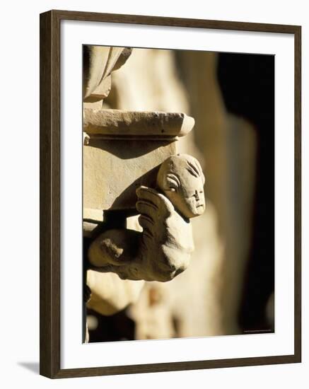 Detail, Convento De Las Duenas, Salamanca, Spain-R H Productions-Framed Photographic Print