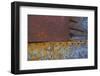 Detail from a Beached Fishing Boat-Mallorie Ostrowitz-Framed Photographic Print