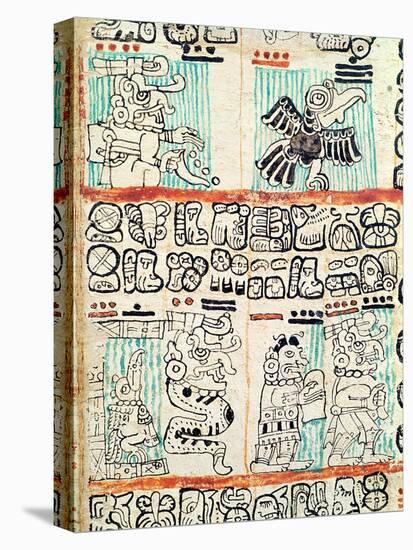 Detail from a Mayan Codex-null-Stretched Canvas