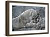 Detail from a relief of a lion attacking a bull, the Apadana, Persepolis, Iran-Vivienne Sharp-Framed Photographic Print