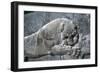 Detail from a relief of a lion attacking a bull, the Apadana, Persepolis, Iran-Vivienne Sharp-Framed Photographic Print