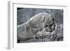 Detail from a relief of a lion attacking a bull, the Apadana, Persepolis, Iran-Vivienne Sharp-Framed Photographic Print