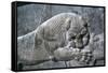 Detail from a relief of a lion attacking a bull, the Apadana, Persepolis, Iran-Vivienne Sharp-Framed Stretched Canvas