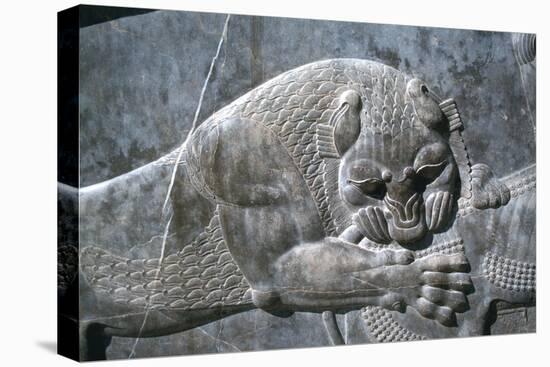 Detail from a relief of a lion attacking a bull, the Apadana, Persepolis, Iran-Vivienne Sharp-Stretched Canvas