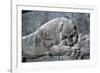 Detail from a relief of a lion attacking a bull, the Apadana, Persepolis, Iran-Vivienne Sharp-Framed Photographic Print