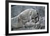 Detail from a relief of a lion attacking a bull, the Apadana, Persepolis, Iran-Vivienne Sharp-Framed Photographic Print