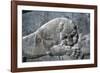 Detail from a relief of a lion attacking a bull, the Apadana, Persepolis, Iran-Vivienne Sharp-Framed Photographic Print