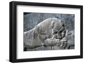 Detail from a relief of a lion attacking a bull, the Apadana, Persepolis, Iran-Vivienne Sharp-Framed Photographic Print