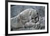 Detail from a relief of a lion attacking a bull, the Apadana, Persepolis, Iran-Vivienne Sharp-Framed Photographic Print