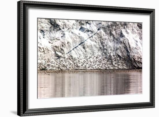 Detail from an Iceberg and Bird Swarm in Greenland-Françoise Gaujour-Framed Photographic Print