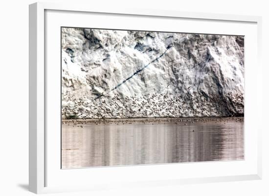 Detail from an Iceberg and Bird Swarm in Greenland-Françoise Gaujour-Framed Photographic Print