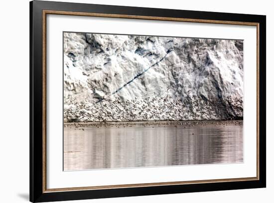 Detail from an Iceberg and Bird Swarm in Greenland-Françoise Gaujour-Framed Photographic Print