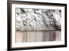 Detail from an Iceberg and Bird Swarm in Greenland-Françoise Gaujour-Framed Photographic Print