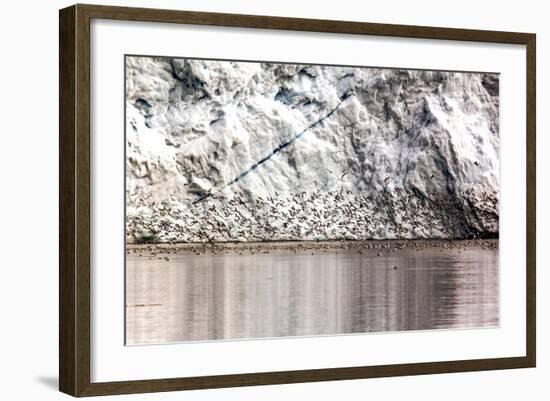 Detail from an Iceberg and Bird Swarm in Greenland-Françoise Gaujour-Framed Photographic Print