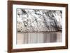 Detail from an Iceberg and Bird Swarm in Greenland-Françoise Gaujour-Framed Photographic Print