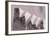 Detail from an Iceberg in Geenland-Françoise Gaujour-Framed Photographic Print