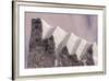Detail from an Iceberg in Geenland-Françoise Gaujour-Framed Photographic Print