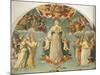 Detail from Assumption of Virgin-Girolamo di Benvenuto-Mounted Giclee Print