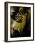 Detail from Beveled Colored-Glass Mug, Austria-null-Framed Giclee Print