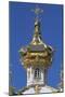 Detail from Cupola of the Chapel in the East Wing of the Grand Palace-null-Mounted Giclee Print