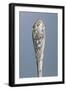 Detail from Handle of Dusting Spoon with Embossed Liberty-Style Flowers, Minerva Hallmark, Vermeil-null-Framed Giclee Print