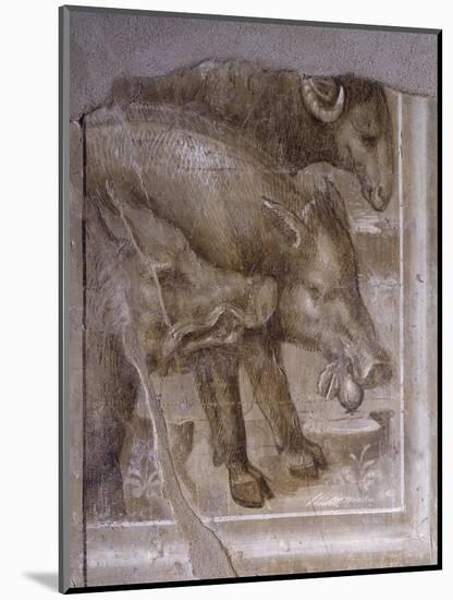 Detail from on Trajan's Column-Baldassare Peruzzi-Mounted Giclee Print