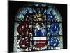 Detail from Stained-Glass Window in Turku Cathedral, Finland-null-Mounted Giclee Print