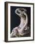 Detail from Statue of Venus Crowning Love-Antonio Canova-Framed Giclee Print