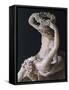 Detail from Statue of Venus Crowning Love-Antonio Canova-Framed Stretched Canvas