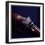 Detail from Striking Hammer of Shotgun Belonging to Giuseppe Garibaldi, Italian Unification-null-Framed Giclee Print