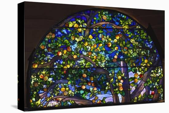 Detail from 'The Danner Memorial' Window by Tiffany Studios-null-Stretched Canvas