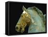 Detail from the Equestrian Statue of Marcus Aurelius-null-Framed Stretched Canvas