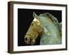 Detail from the Equestrian Statue of Marcus Aurelius-null-Framed Giclee Print