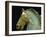 Detail from the Equestrian Statue of Marcus Aurelius-null-Framed Giclee Print